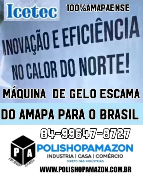 ICETEC MAQUINA DE GELO  ESCAMA 